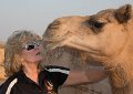 ABu Dhabi Camel Kiss